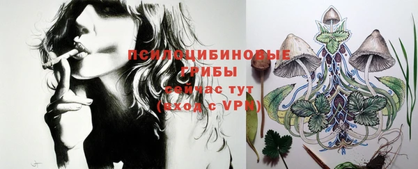 твердый Усмань