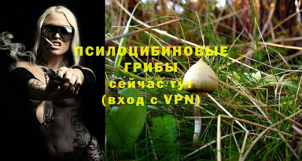 крисы Усолье-Сибирское