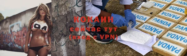 твердый Усмань
