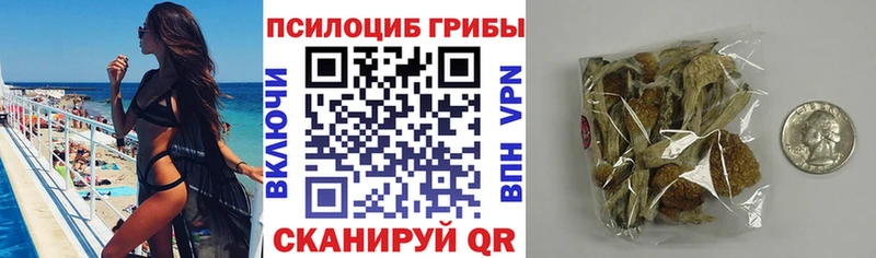 наркотики Алдан Галлюциногенные грибы Psilocybe